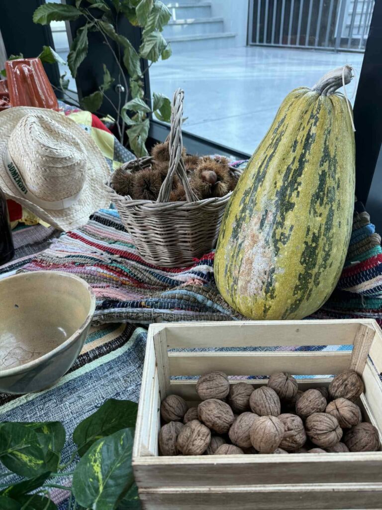 WhatsApp-Image-2025-11-12-at-18.01.54-768x1024 São Martinho