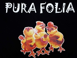 image-8 Clube Pura Folia
