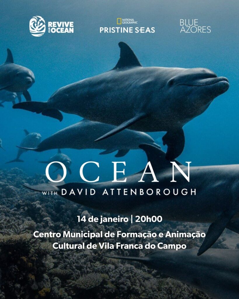 615397016_886063927574678_5908238302975425437_n-819x1024 “Ocean” with David Attenborough