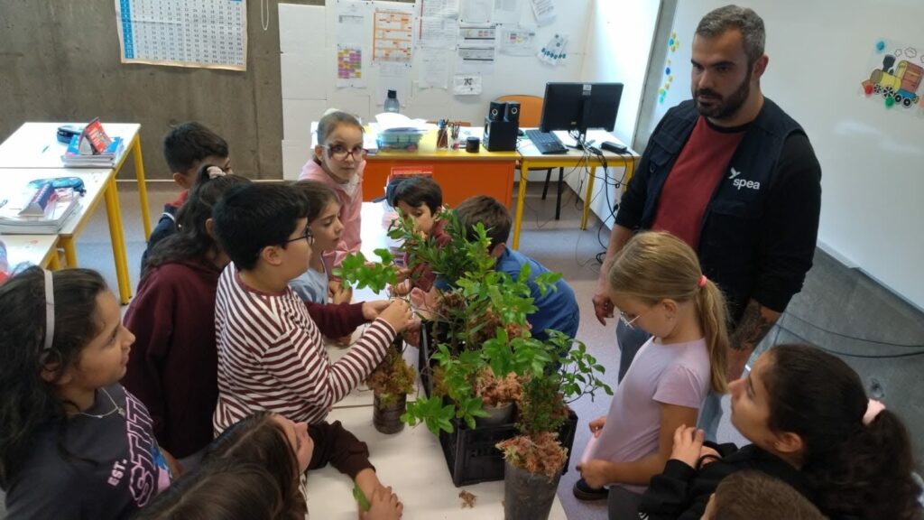 622376953_898057983041939_5238282701861416195_n-1024x576 A floresta Laurissilva veio à escola