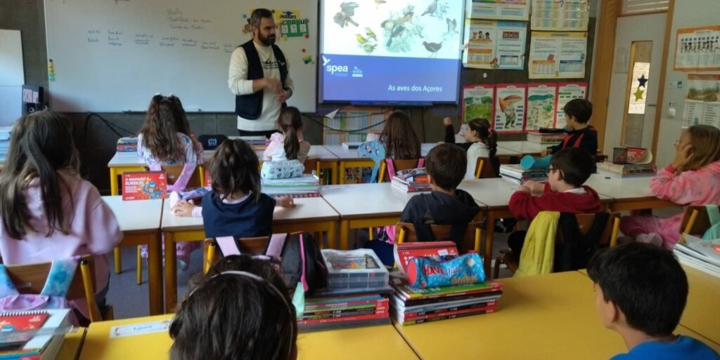 622696187_898818302965907_8593925880340721210_n-1024x513 Vamos conhecer as nossas aves?