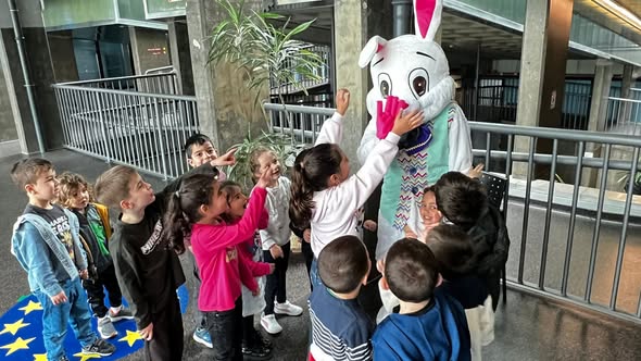 Caca-aos-ovos Caça aos Ovos