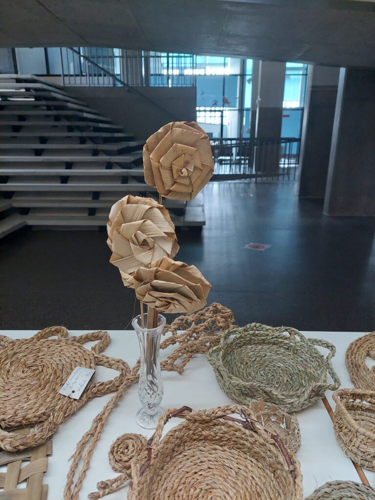 Flores-Espadana2-768x1024 Flores de espadana