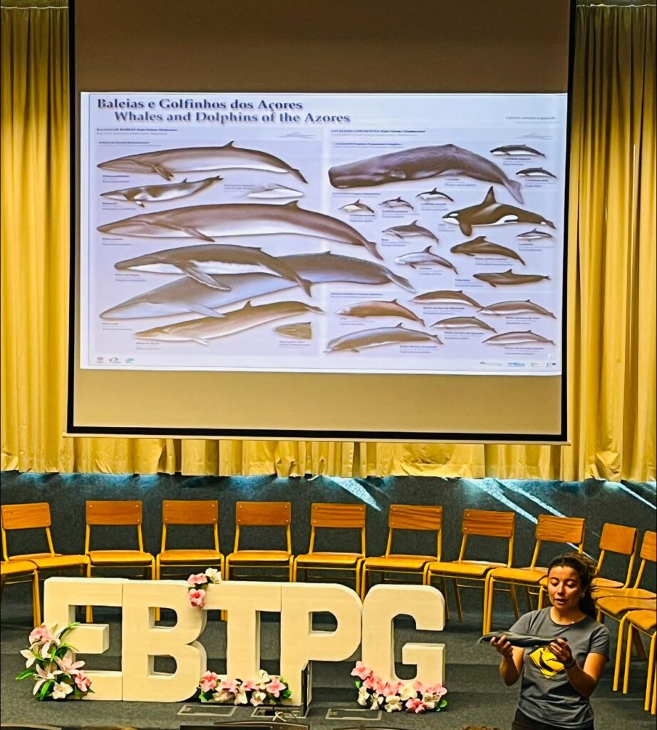 baleias-922x1024 Os cetáceos e a baleação