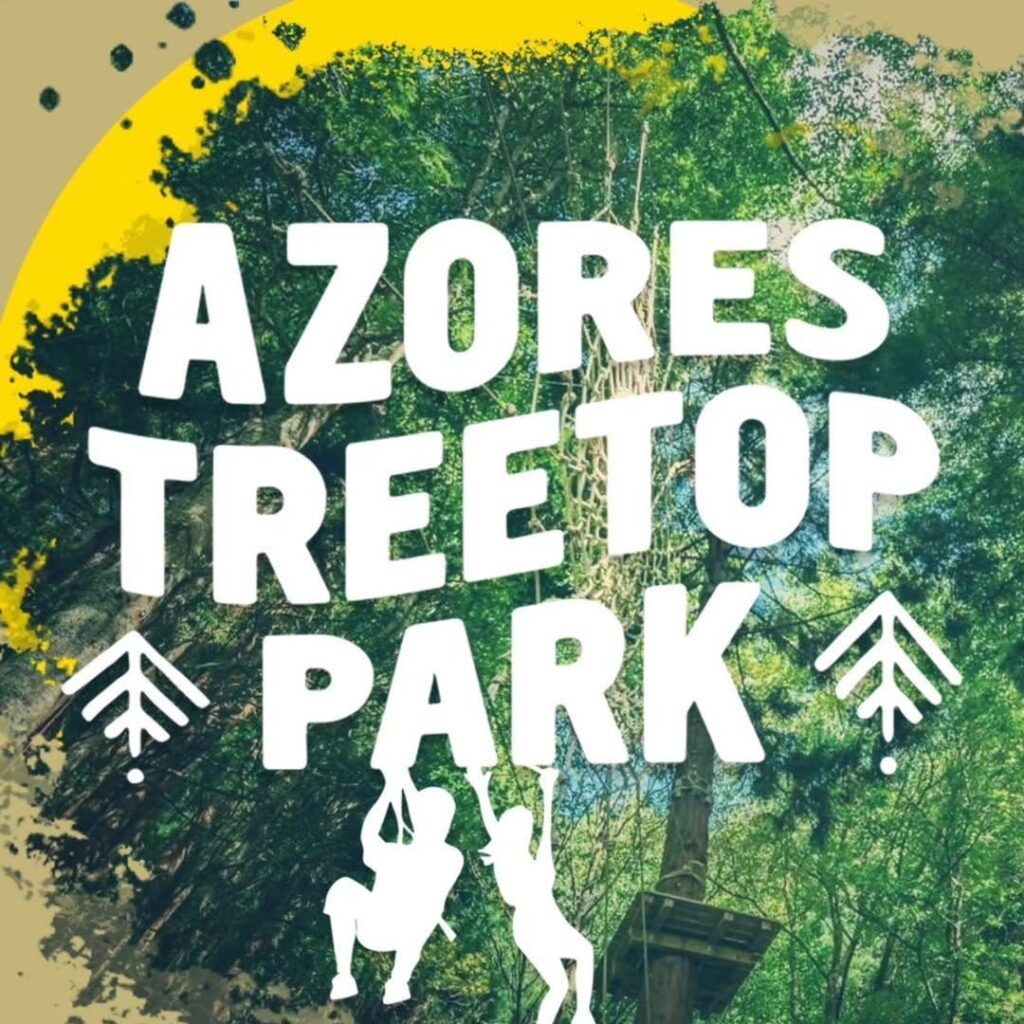 Azores-tree-1024x1024 Finalistas no Azores Treetop Park