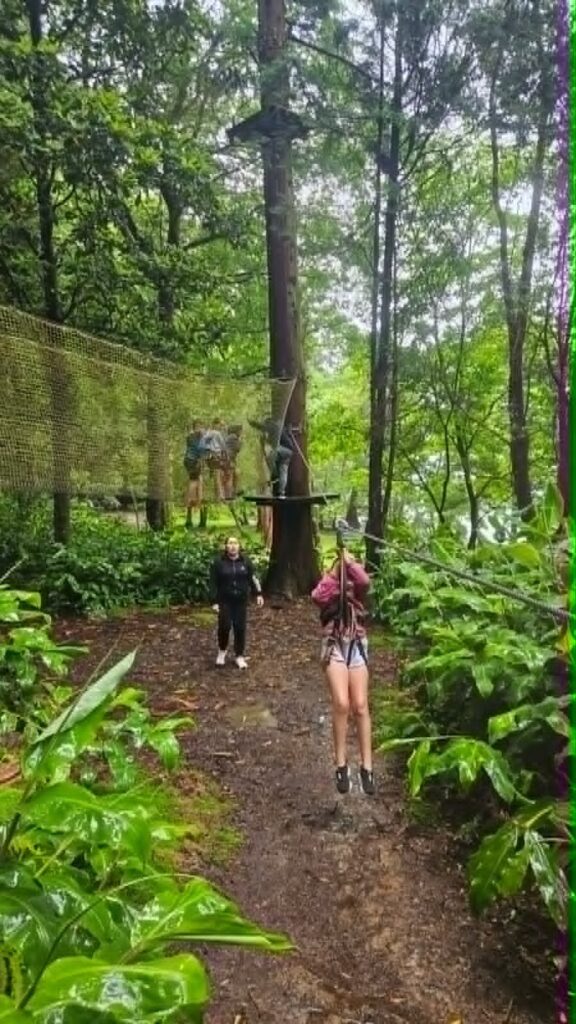 Azores-tree-park-576x1024 Finalistas no Azores Treetop Park